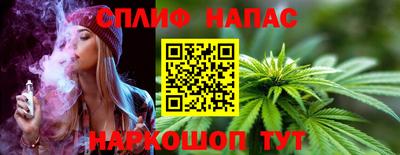 твердый Славгород