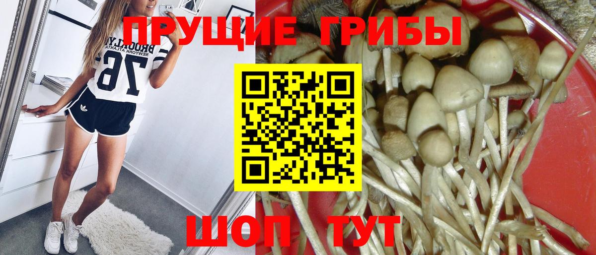 Галлюциногенные грибы мухоморы Саров