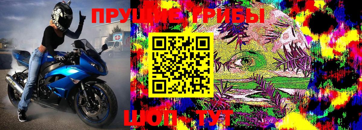 Псилоцибиновые грибы Psilocybine cubensis  Псилоцибиновые грибы мухоморы  Вход с VPN  Саров 